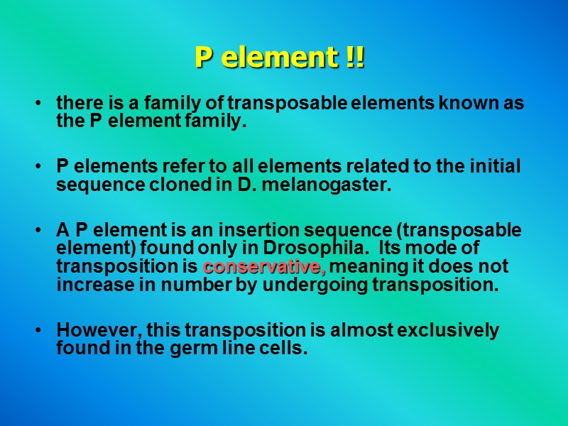 P element !!   there is a family of transposable elements known as